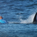 サーファーがサメを殴って撃退！軽傷で済んだサーファーは「またここでサーフィンしたい」と話す